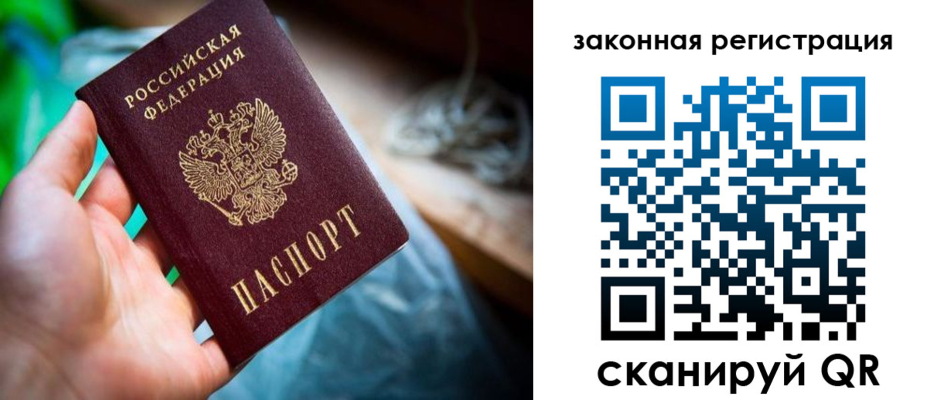 прописка в Стародубе